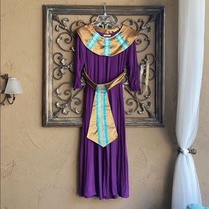 Egyptian Costume Dance Theater Adult Medium